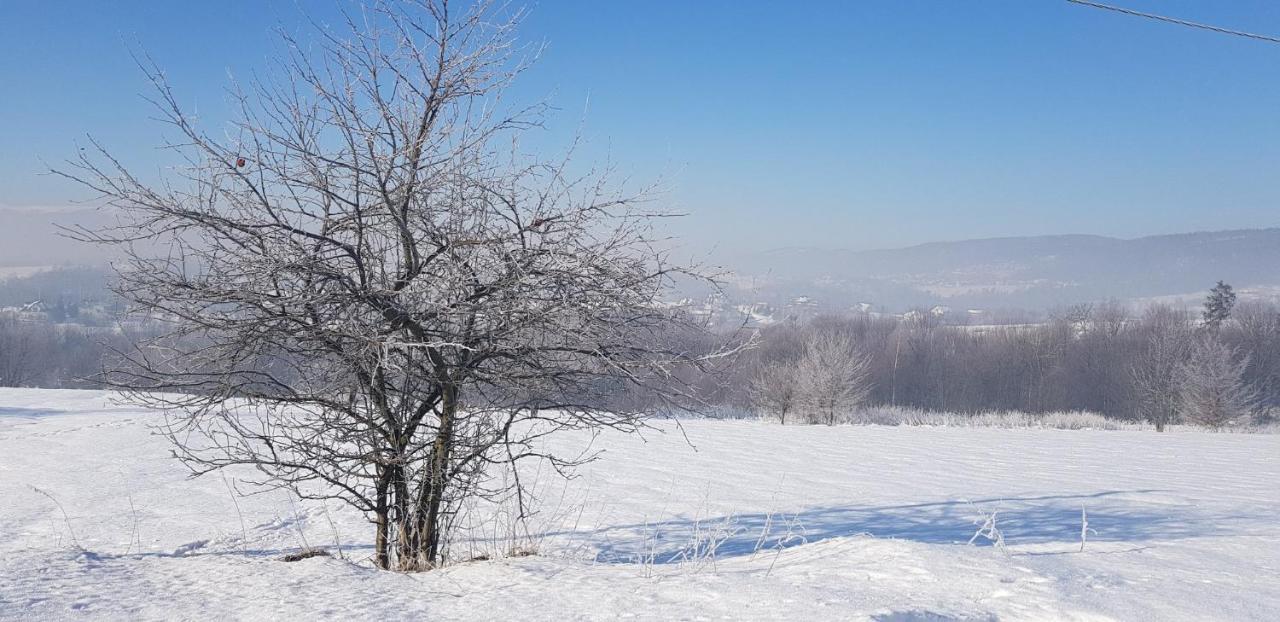 Dom Grabowa Z Sauna I Podgrzewanym Basenem Gilowice  Εξωτερικό φωτογραφία